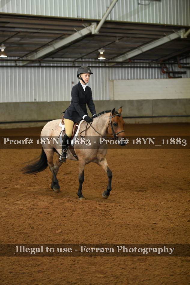 Proof 18YN_11883