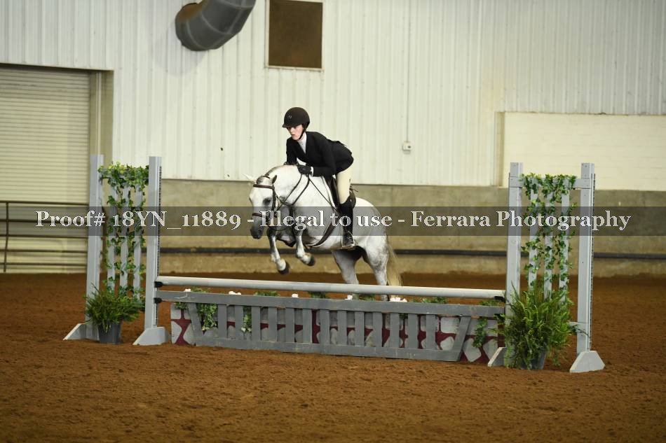 Proof 18YN_11889