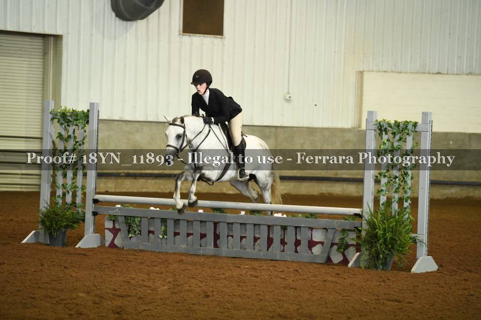 Proof 18YN_11893