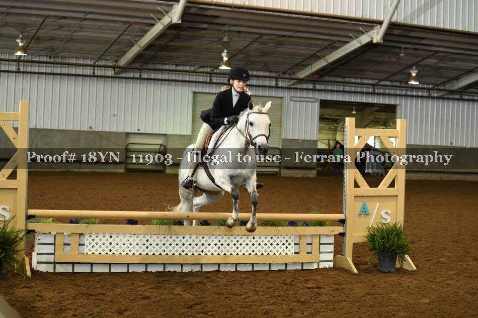 Proof 18YN_11903