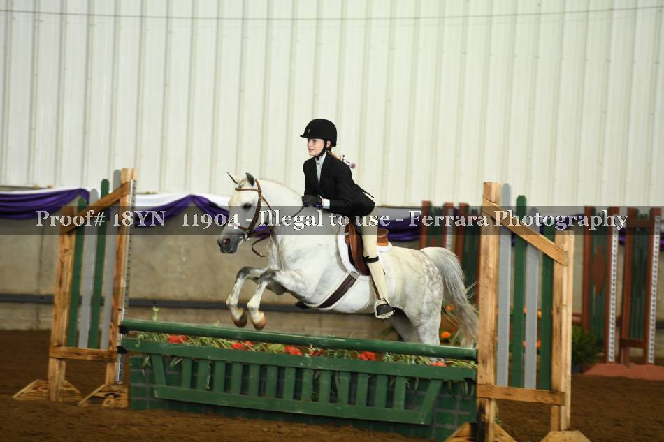 Proof 18YN_11904