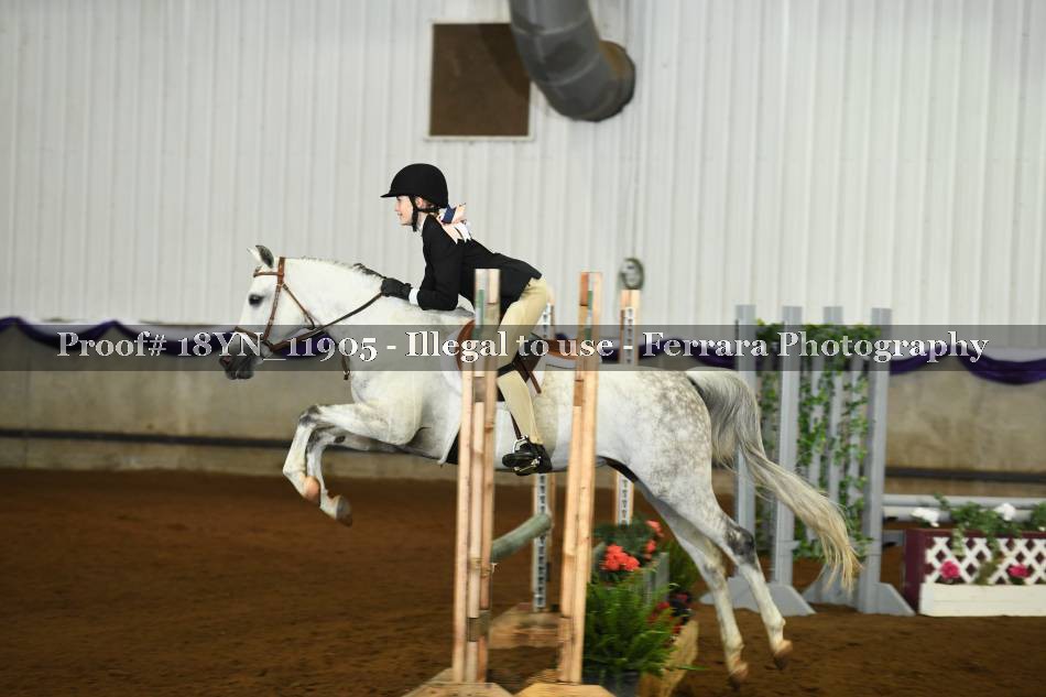 Proof 18YN_11905