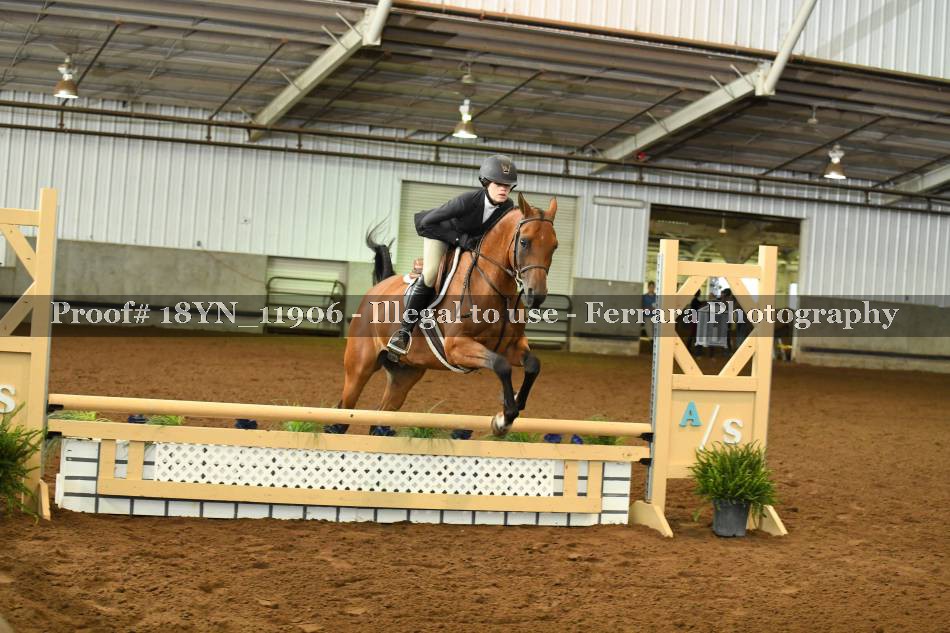 Proof 18YN_11906