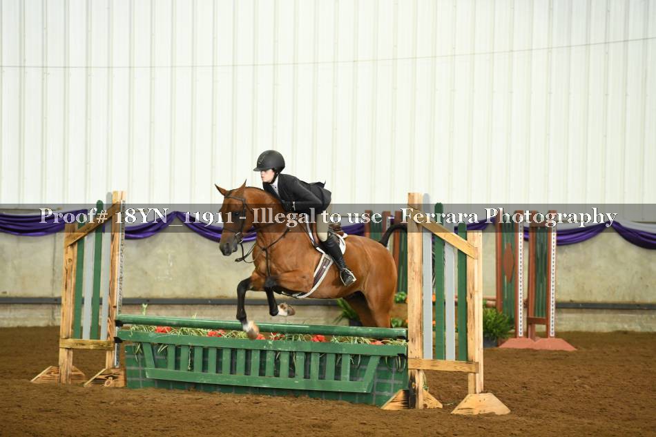 Proof 18YN_11911