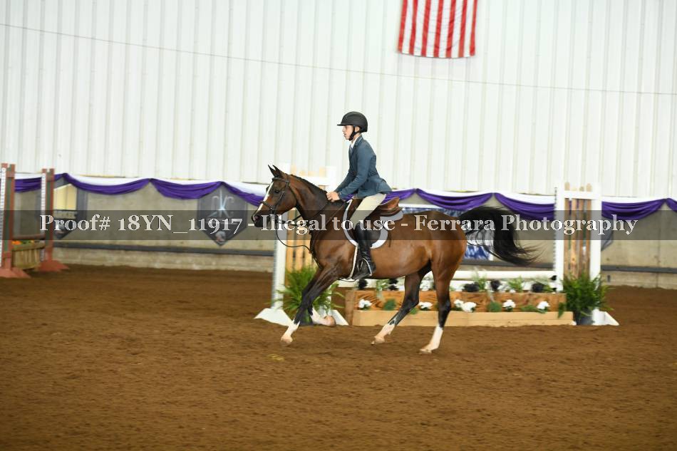 Proof 18YN_11917