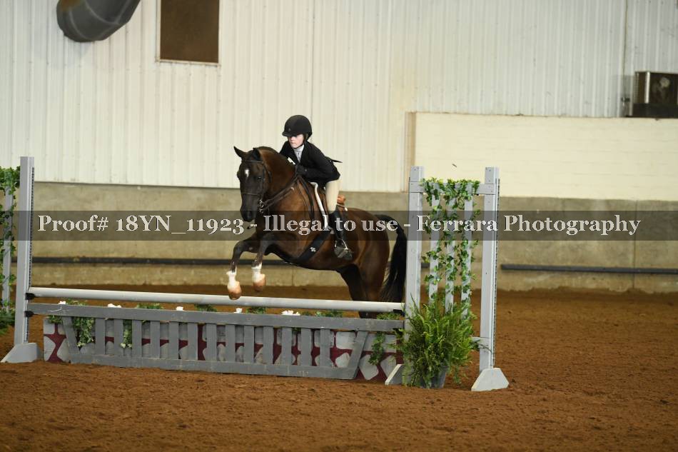Proof 18YN_11923
