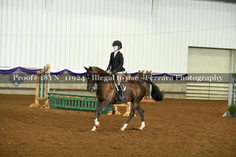 Proof 18YN_11924