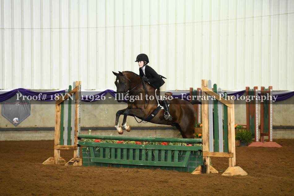 Proof 18YN_11926