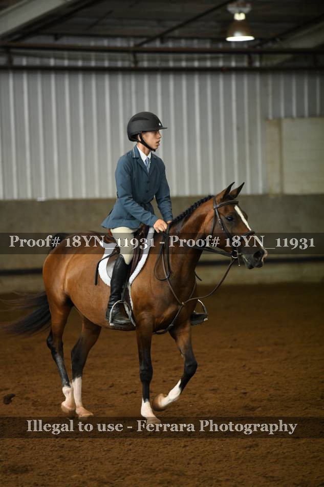 Proof 18YN_11931
