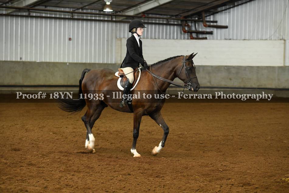 Proof 18YN_11933