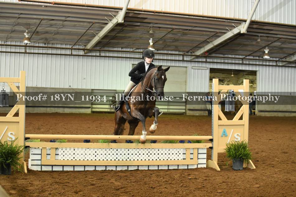 Proof 18YN_11934