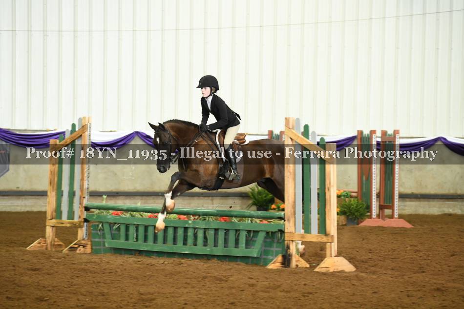 Proof 18YN_11935