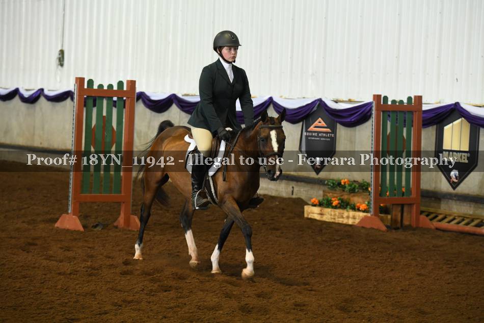 Proof 18YN_11942