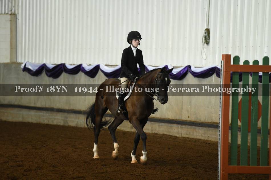 Proof 18YN_11944