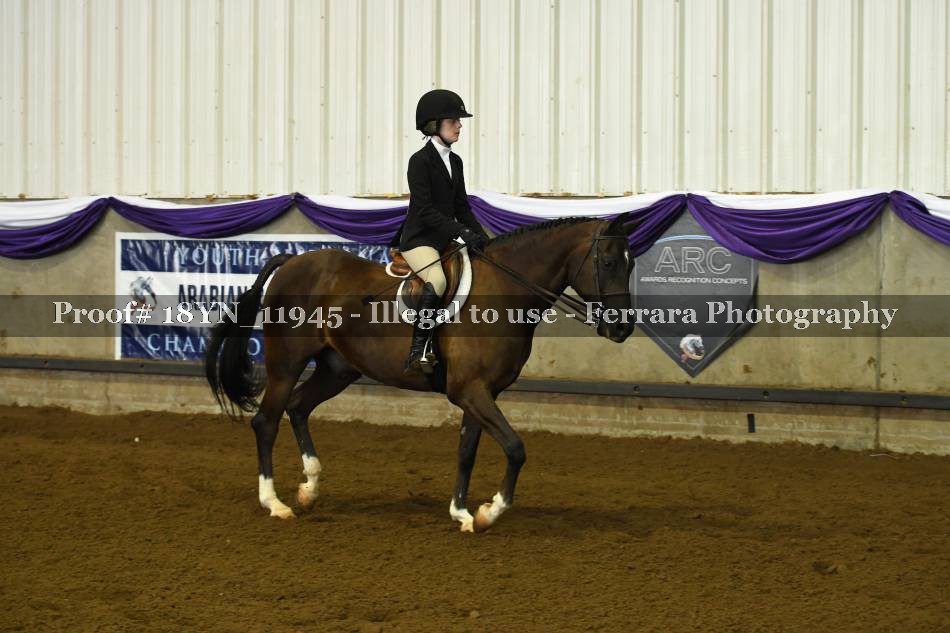 Proof 18YN_11945