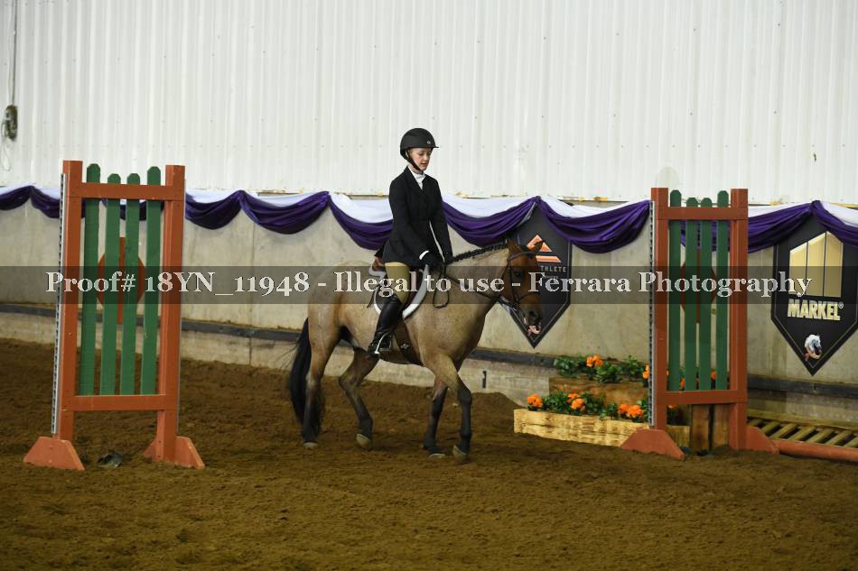Proof 18YN_11948