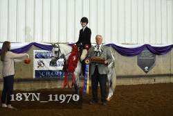 18YN_11970 proof