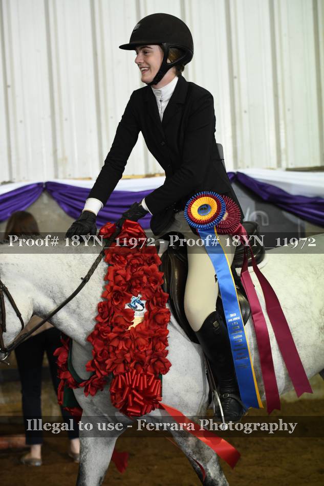 Proof 18YN_11972