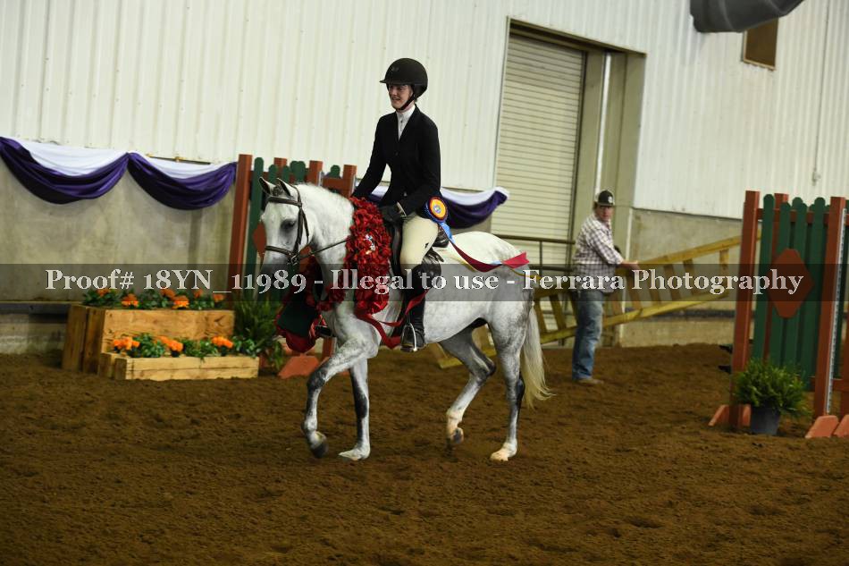 Proof 18YN_11989