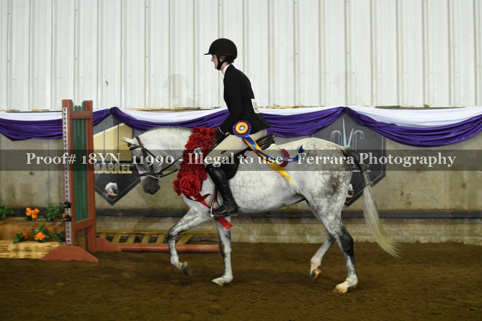 Proof 18YN_11990