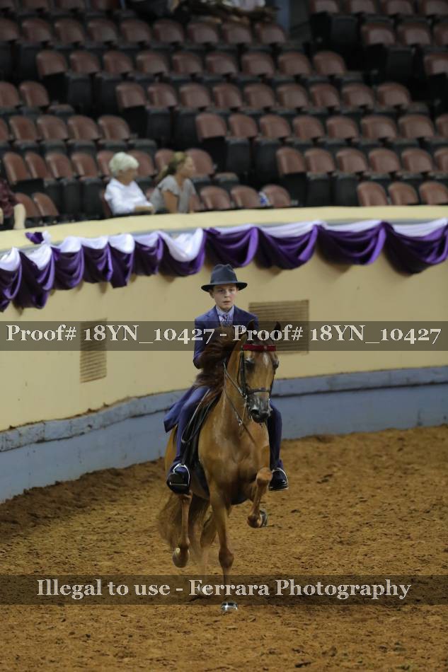 Proof 18YN_10427