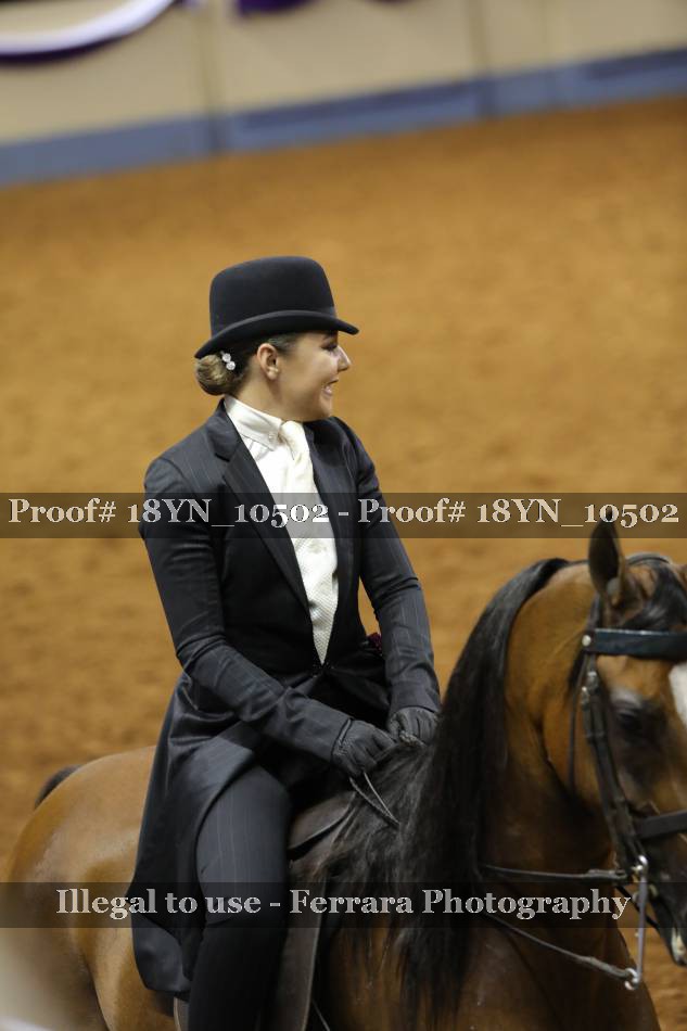 Proof 18YN_10502