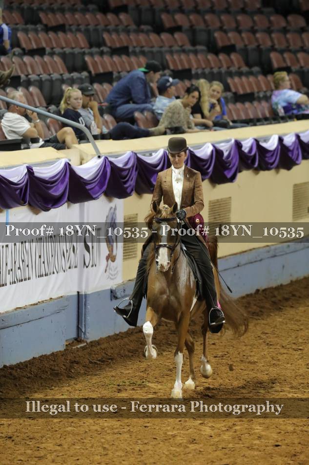 Proof 18YN_10535
