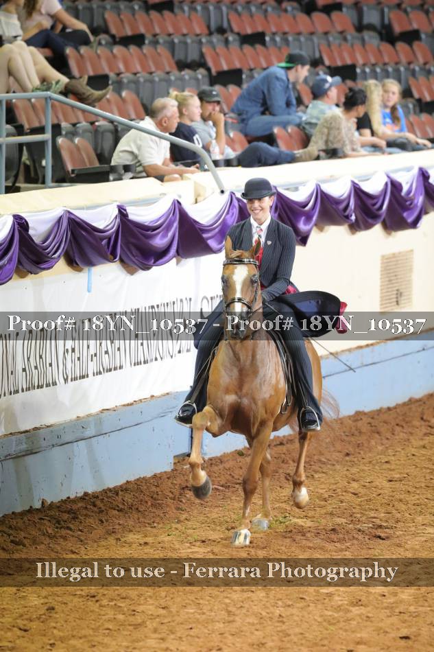 Proof 18YN_10537