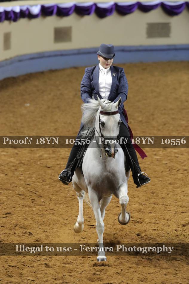 Proof 18YN_10556
