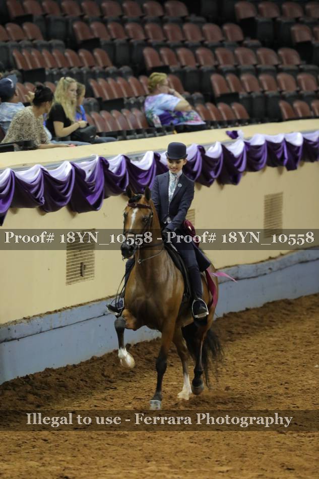 Proof 18YN_10558