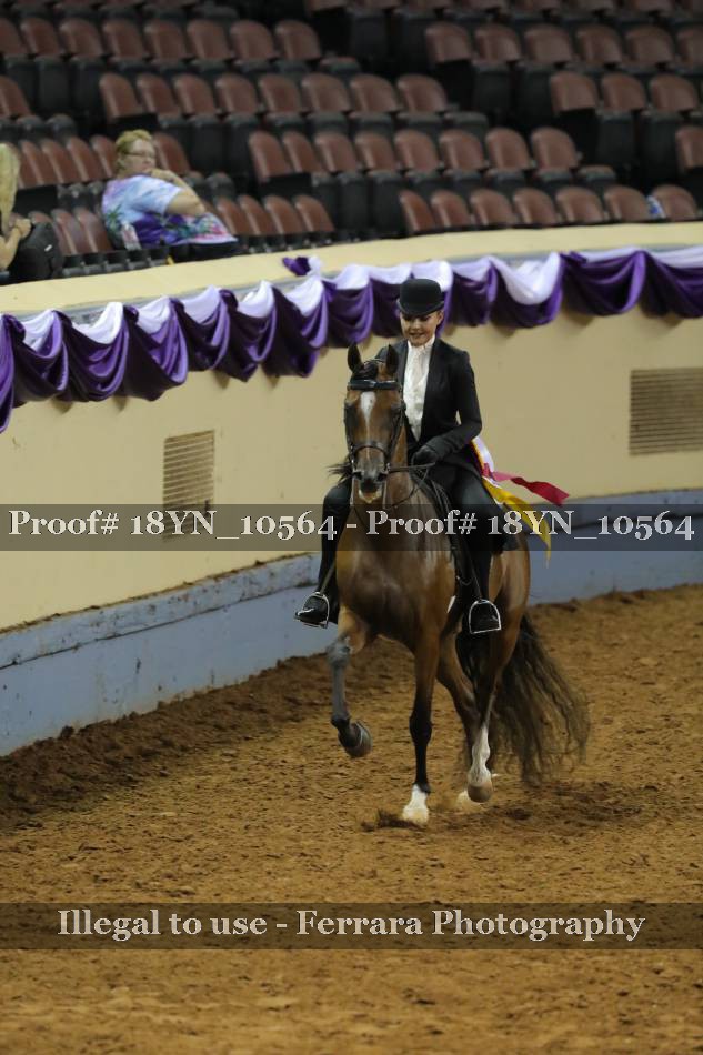 Proof 18YN_10564