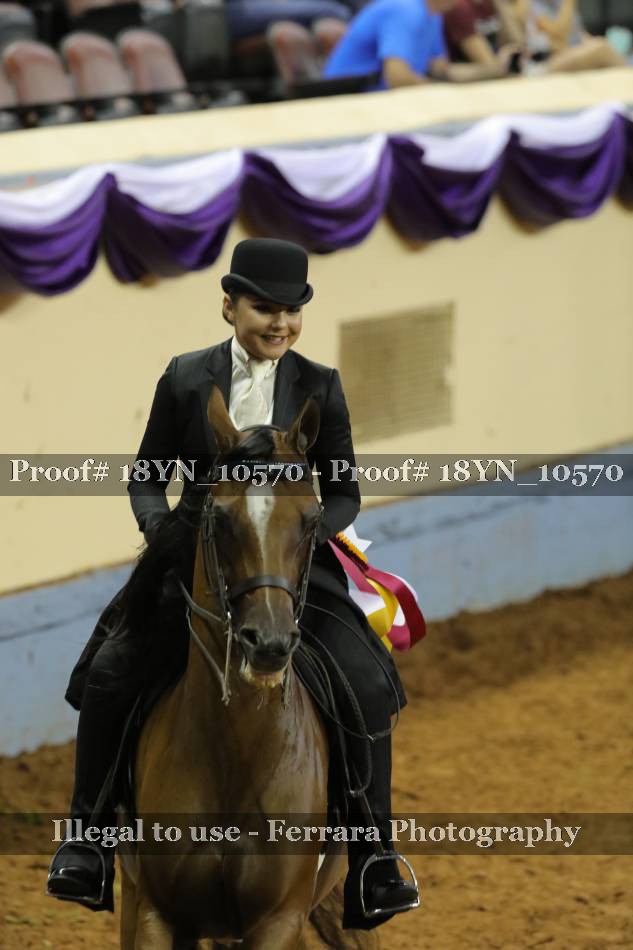 Proof 18YN_10570