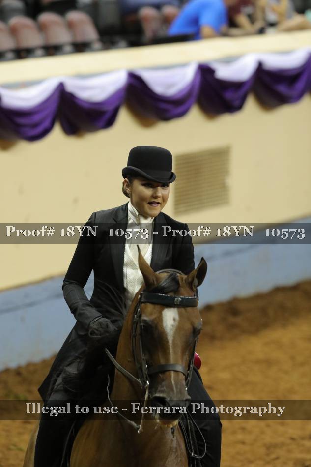 Proof 18YN_10573