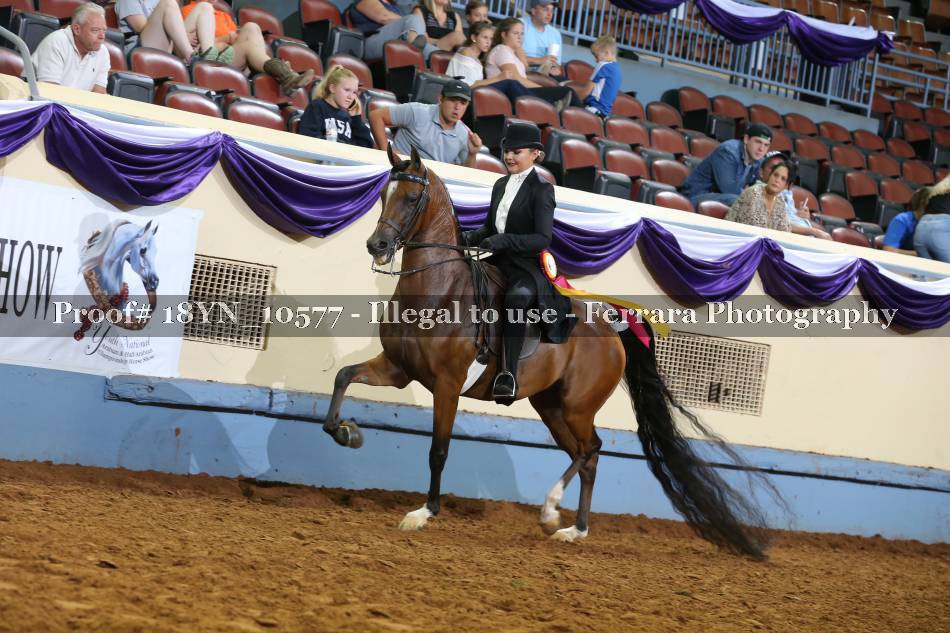Proof 18YN_10577