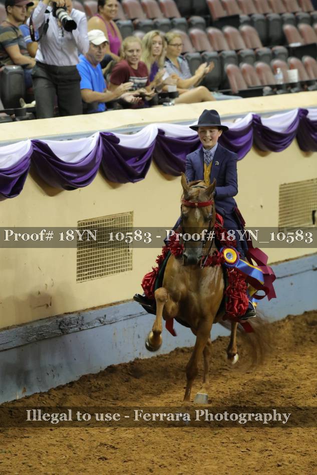 Proof 18YN_10583