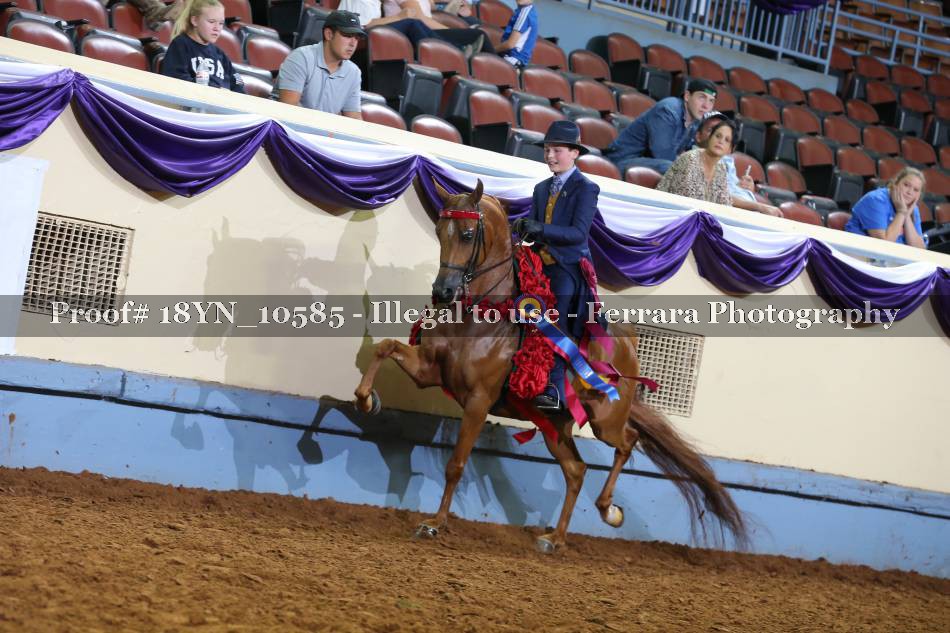 Proof 18YN_10585