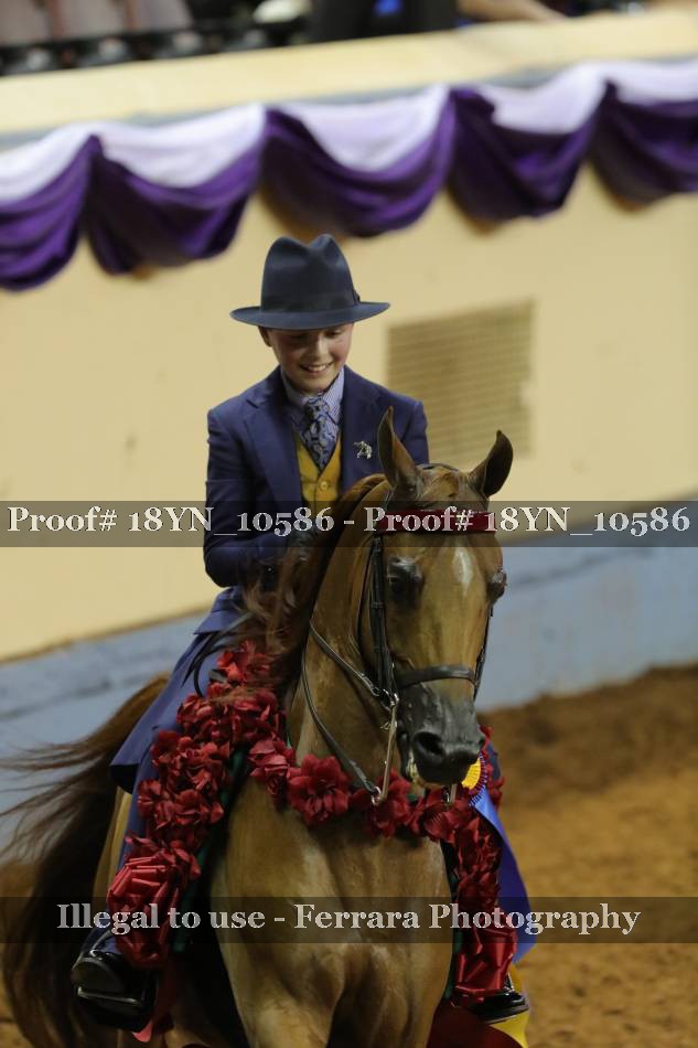 Proof 18YN_10586