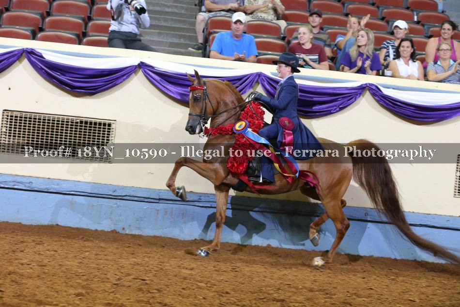 Proof 18YN_10590