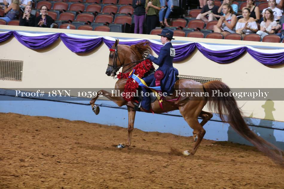 Proof 18YN_10592