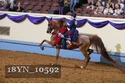 18YN_10592 proof