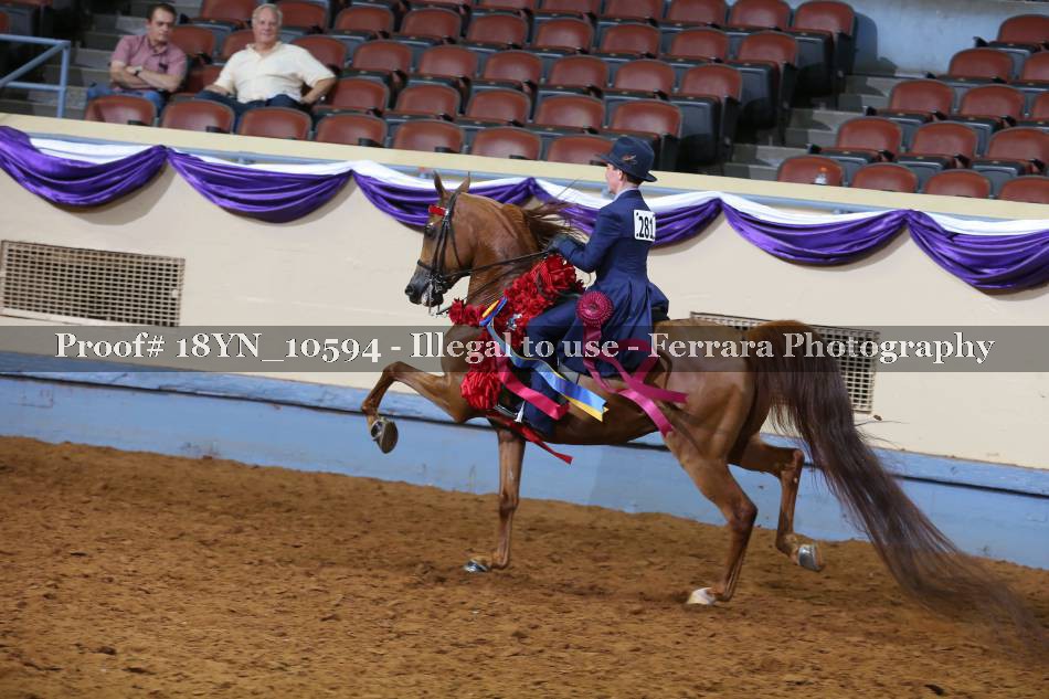 Proof 18YN_10594