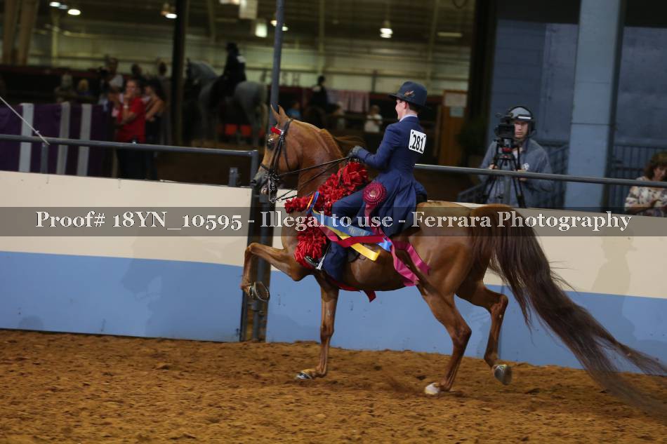Proof 18YN_10595