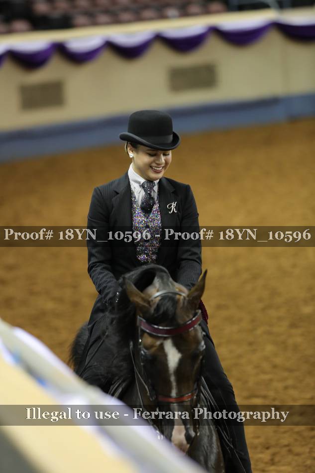 Proof 18YN_10596