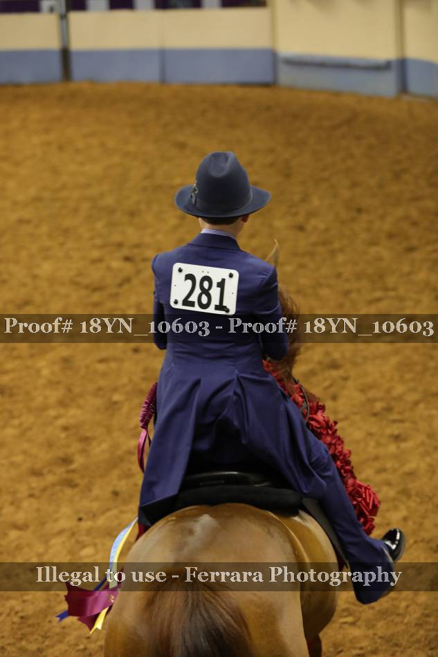 Proof 18YN_10603