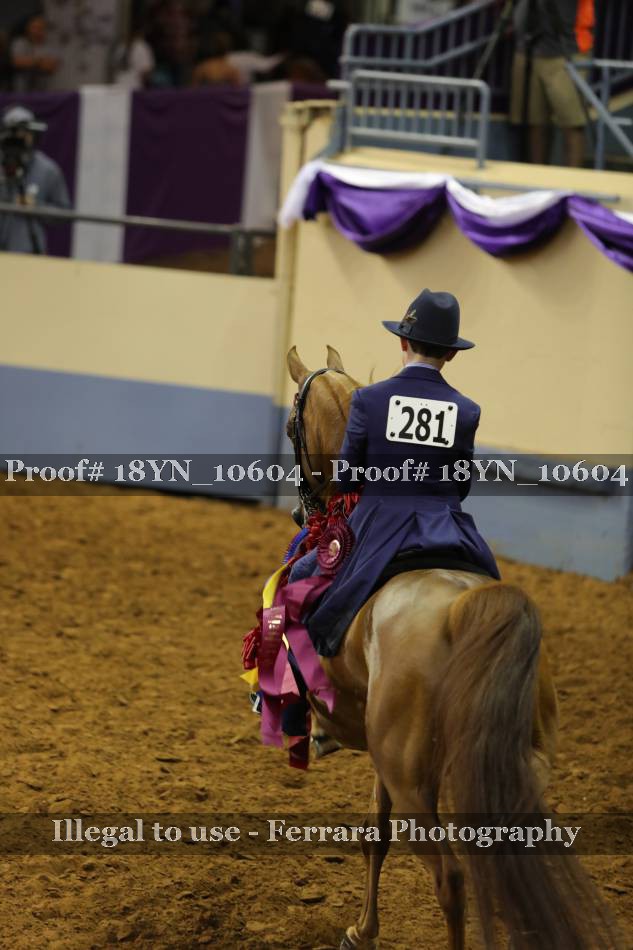 Proof 18YN_10604