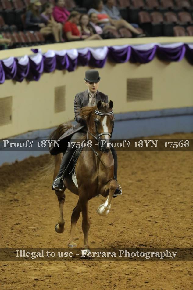 Proof 18YN_17568