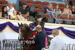 18YN_17626 proof