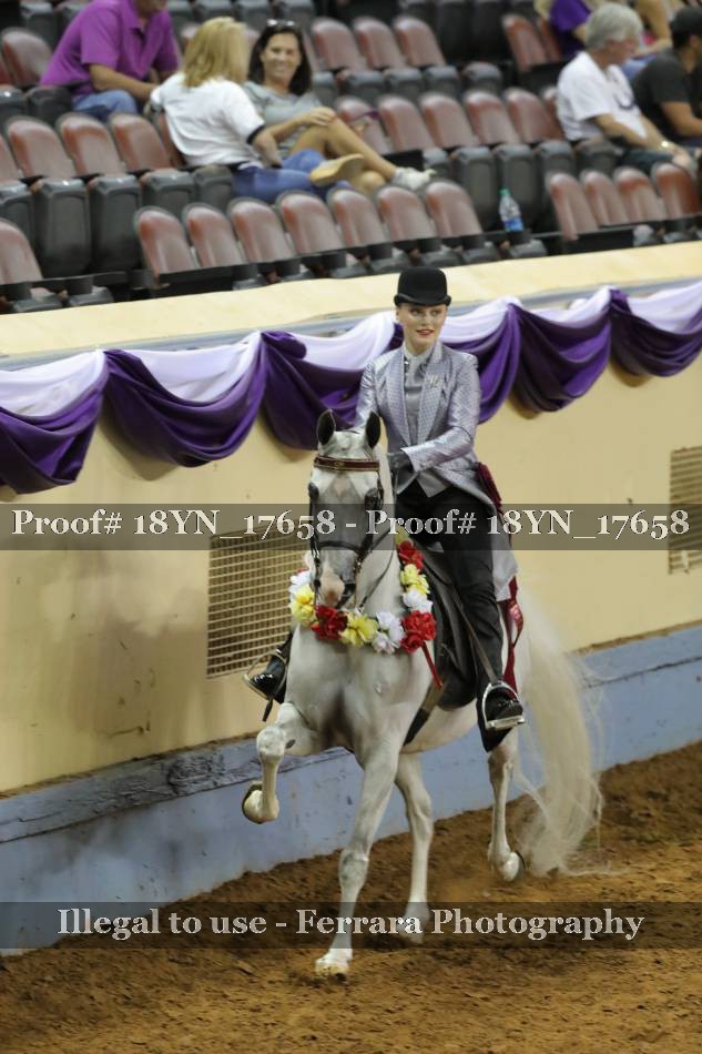 Proof 18YN_17658
