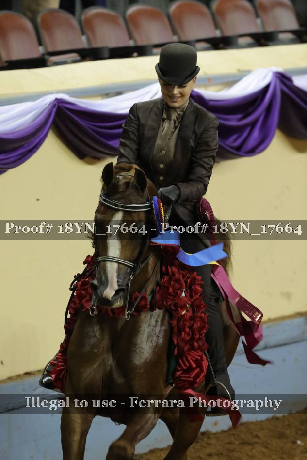 Proof 18YN_17664