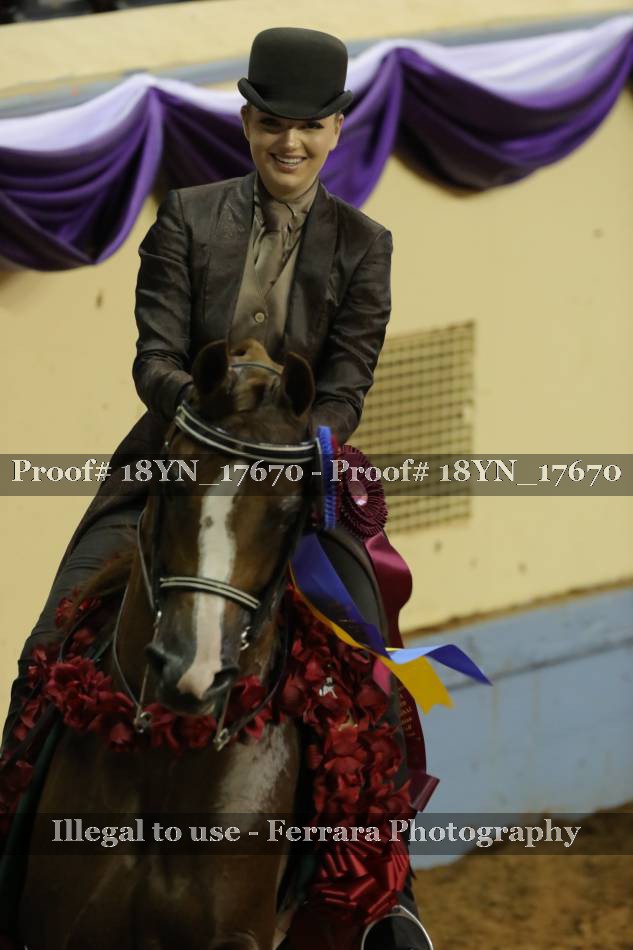 Proof 18YN_17670